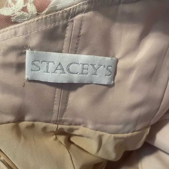 Elegant Lace Wedding Dress - Picture 7 of 9